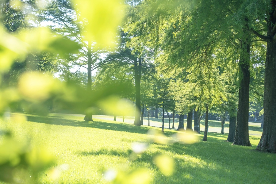 成田山新勝寺